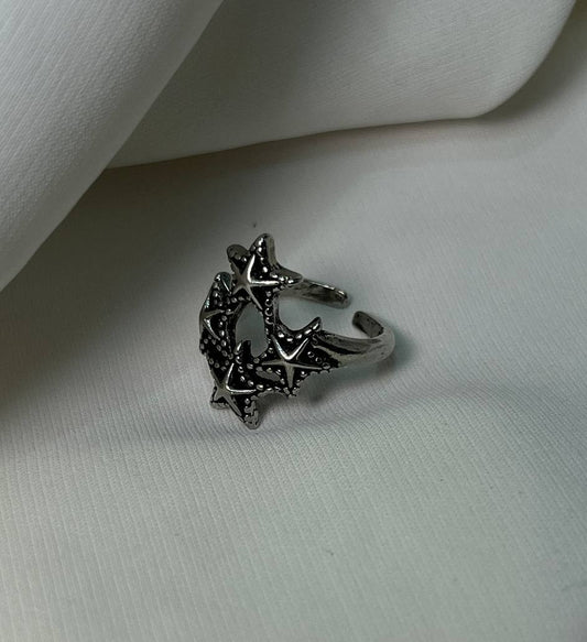 The Stardust Cluster Ring